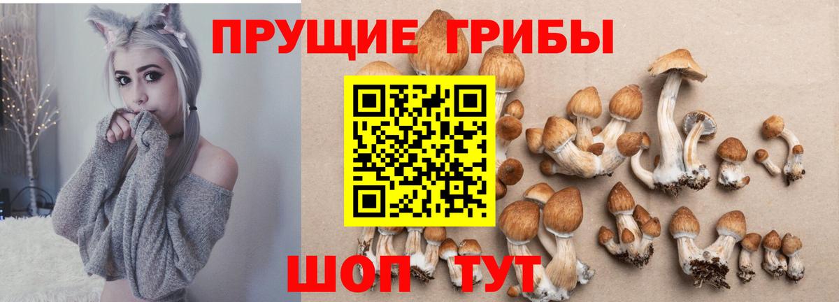 Минусинск  Псилоцибиновые грибы GOLDEN TEACHER  Вход с VPN 